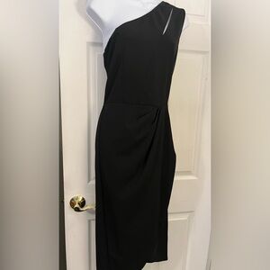 Pretty Garden Chic Ladies Dress